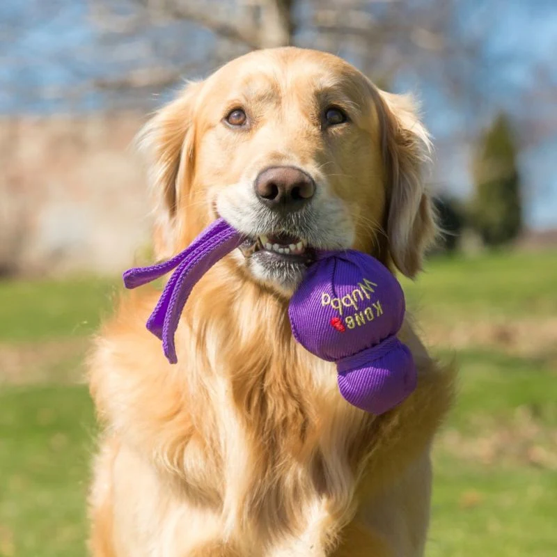 KONG Wubba Dog Toy - Image 4