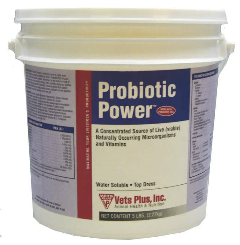 Lacto Powder Probiotic 5lb - Image 2
