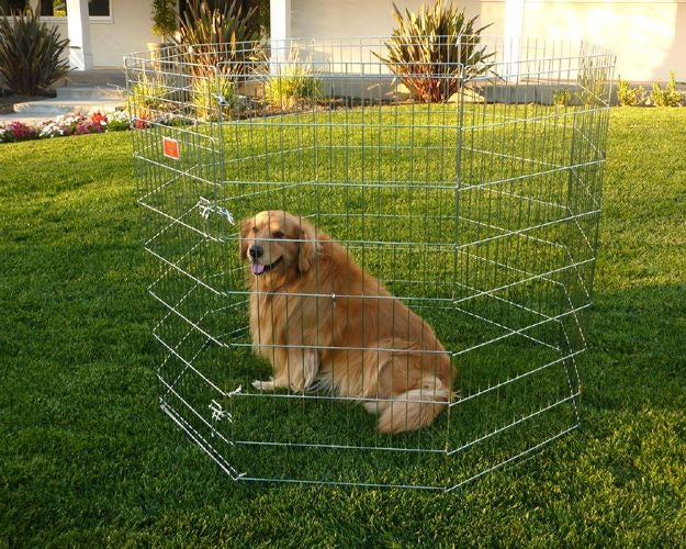 Majestic Pet Dog Exercise Kennel Pen