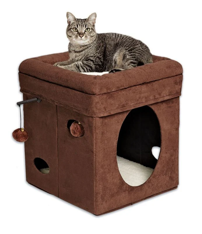 Midwest Curious Cat Cube