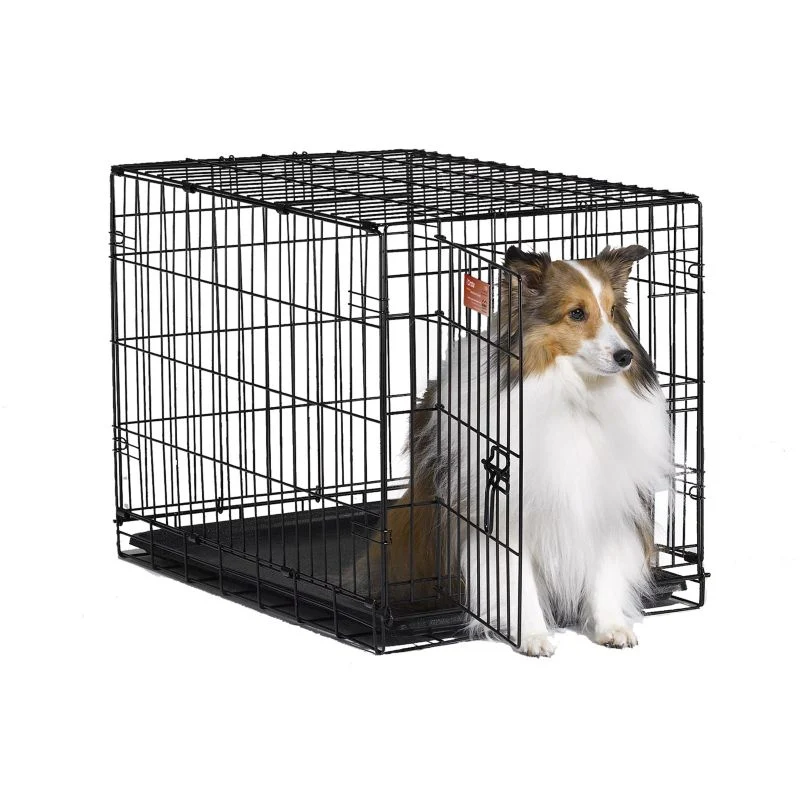 MidWest iCrate Dog Crate