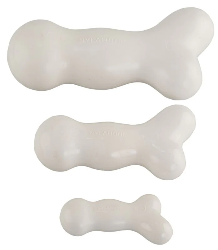 Nylabone Dura Chew Galileo Dog Chew