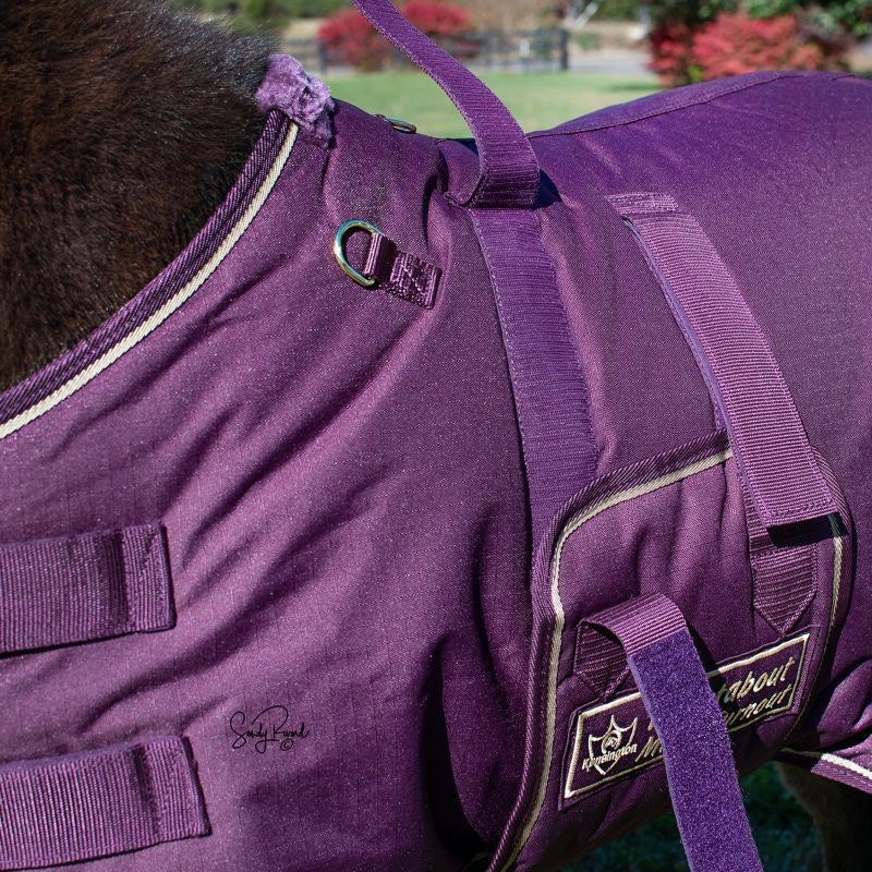 Ozark Mini/Pony Roustabout Blanket - Image 10