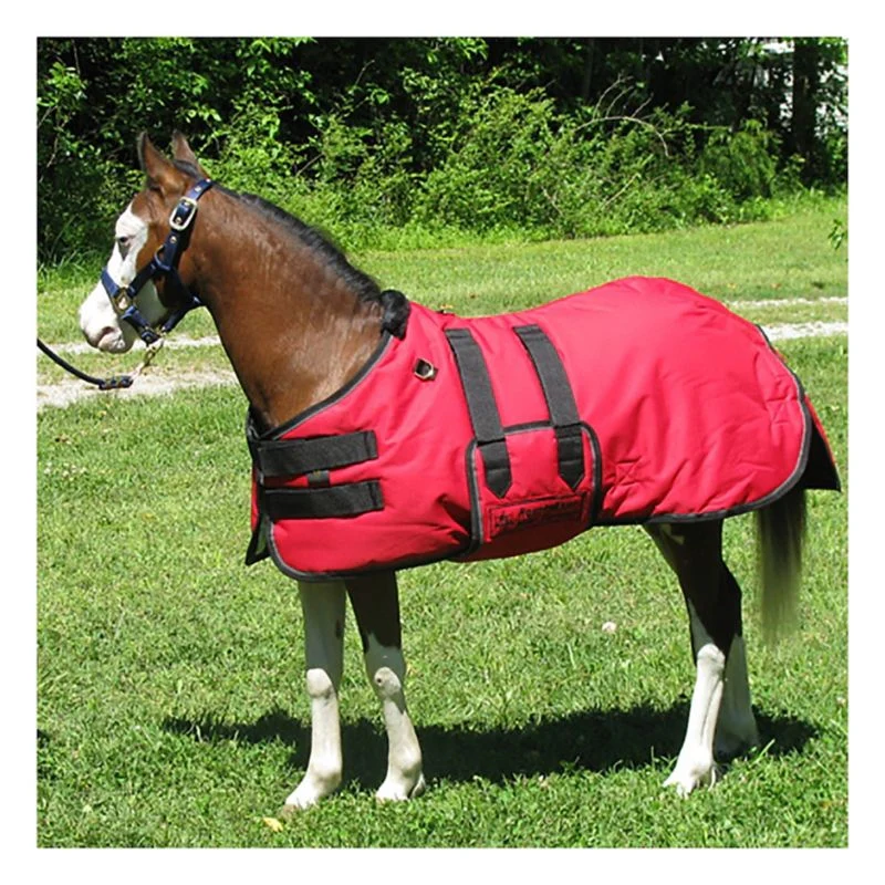 Ozark Mini/Pony Roustabout Blanket - Image 4