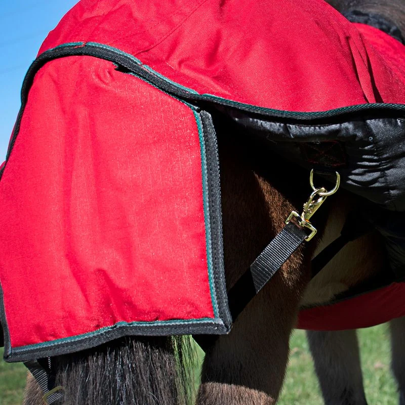 Ozark Mini/Pony Roustabout Blanket - Image 9