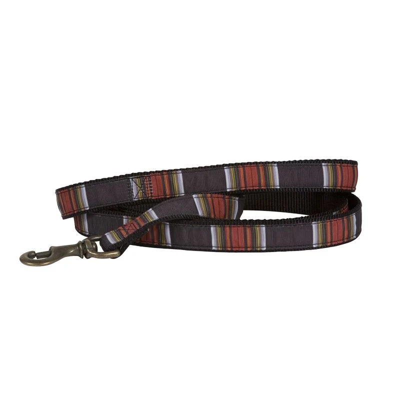 Pendleton Hiker Acadia Dog Leash
