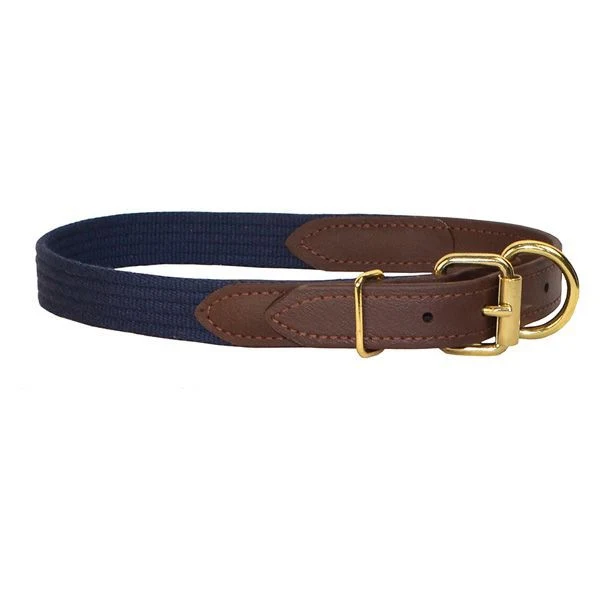 Perris Beta/Cotton Dog Collar LG Black Lime - Image 21