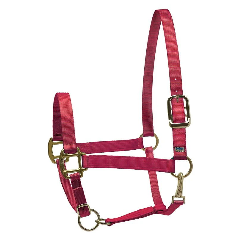 Perri's Personalized Nylon Super Halter - Image 28