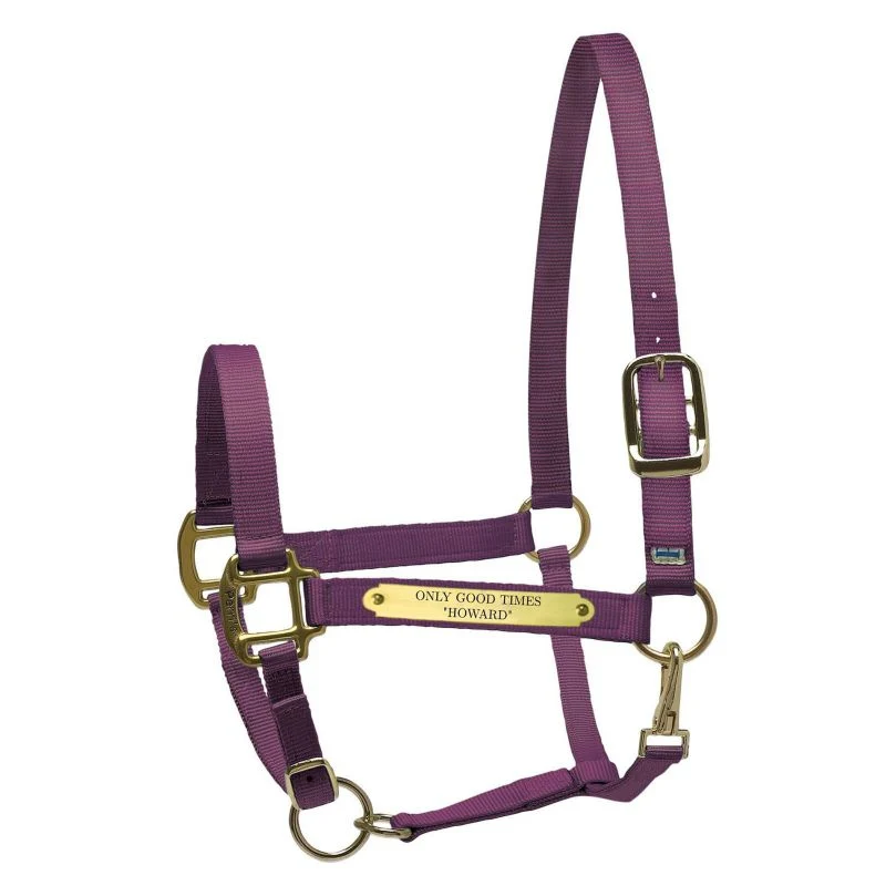 Perri's Personalized Nylon Super Halter - Image 3