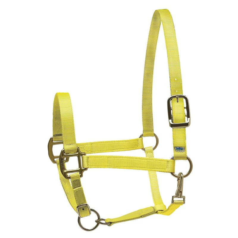 Perri's Personalized Nylon Super Halter - Image 30