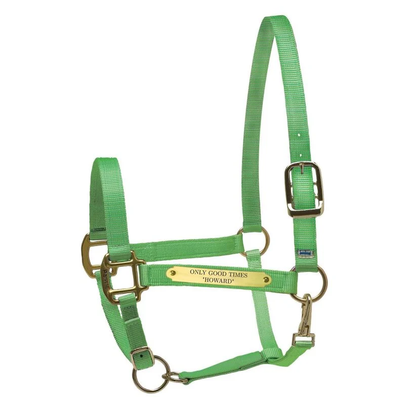 Perri's Personalized Nylon Super Halter - Image 6