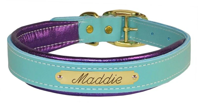 Perris Metallic Pad Leather Dog Collar LG HavPlat - Image 18