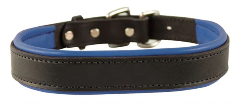 Perris Padded Leather Dog Collar - Image 14
