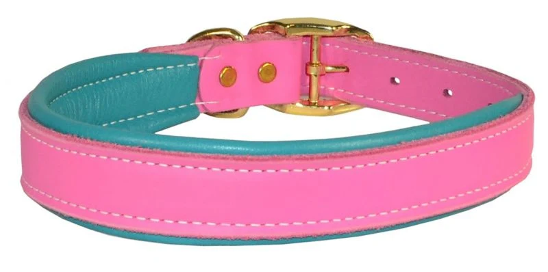 Perris Padded Leather Dog Collar - Image 29