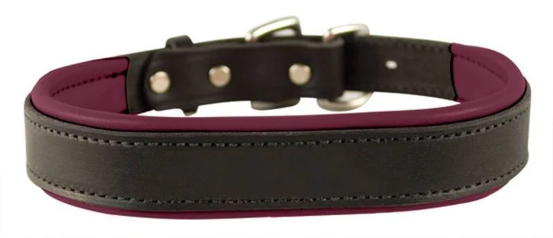 Perris Padded Leather Dog Collar - Image 32