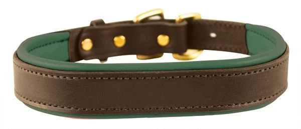 Perris Padded Leather Dog Collar - Image 56