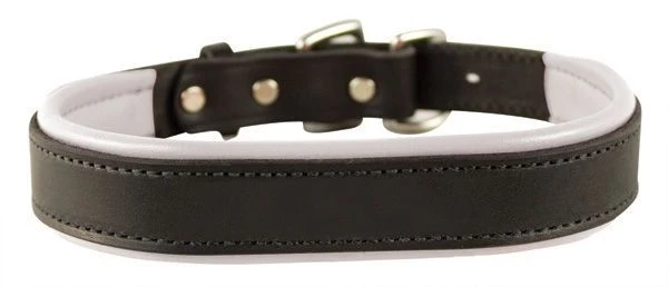 Perris Padded Leather Dog Collar - Image 61