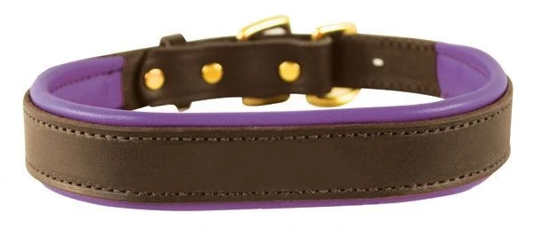 Perris Padded Leather Dog Collar - Image 66