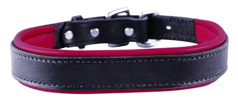 Perris Padded Leather Dog Collar - Image 79