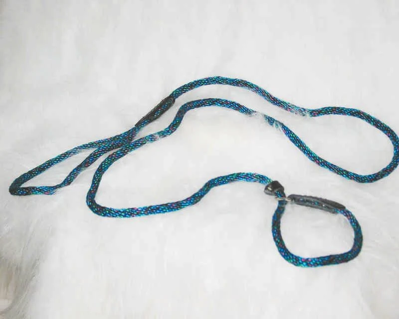 Polyrope Dog Quick Lead Combo 5/16 X6 Blue/Green