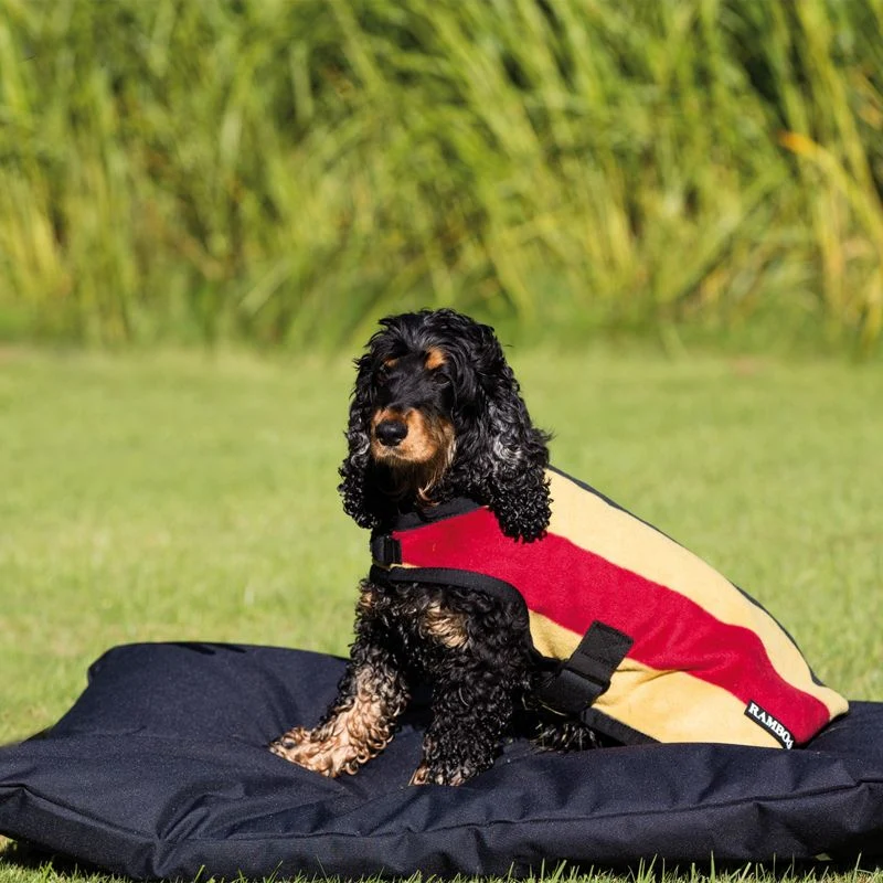 Rambo Deluxe Dog Blanket - Image 2