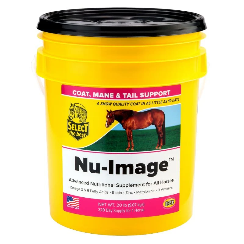 Select the Best Nu-image - Image 3