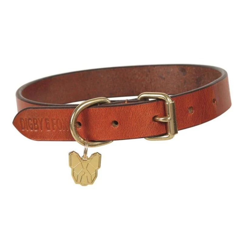 Shires Digby Fox Flat Dog Collar - Image 24