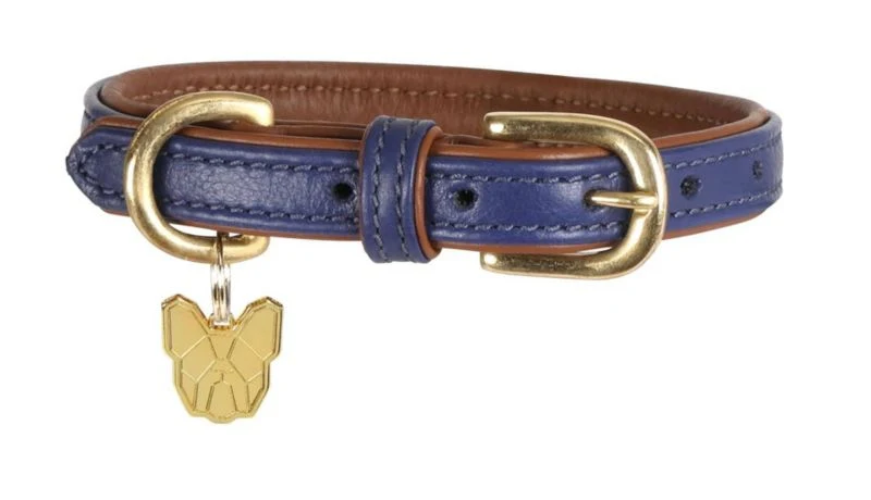 Shires Digby Padded Dog Collar - Image 20