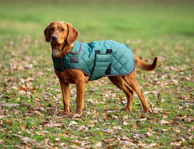 Shires Digby Fox Quilted Dog Coat - Image 8