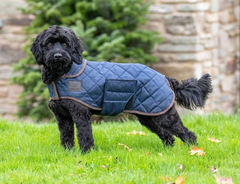 Shires Digby Fox Quilted Dog Coat - Image 9