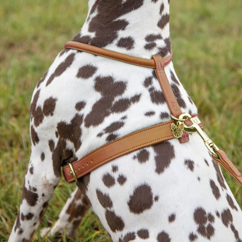 Shires Digby Rolled Leather Harness - Image 18