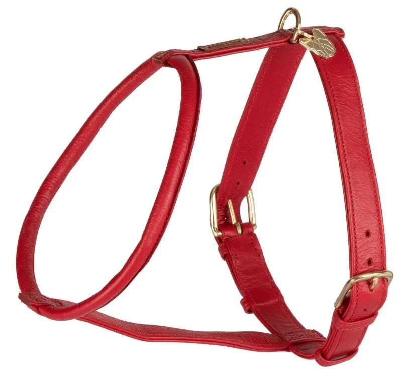 Shires Digby Rolled Leather Harness - Image 25
