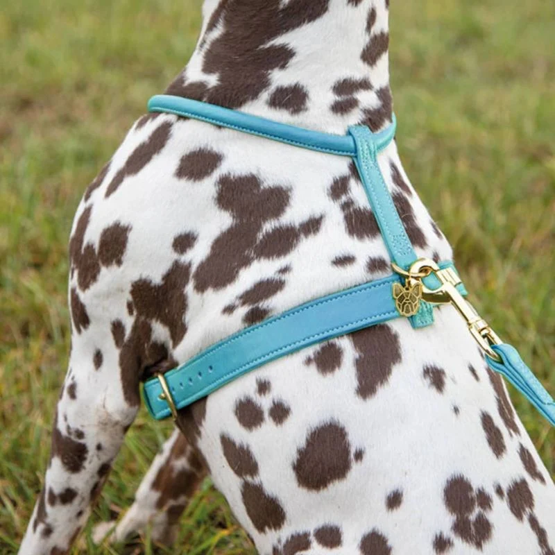 Shires Digby Rolled Leather Harness - Image 30