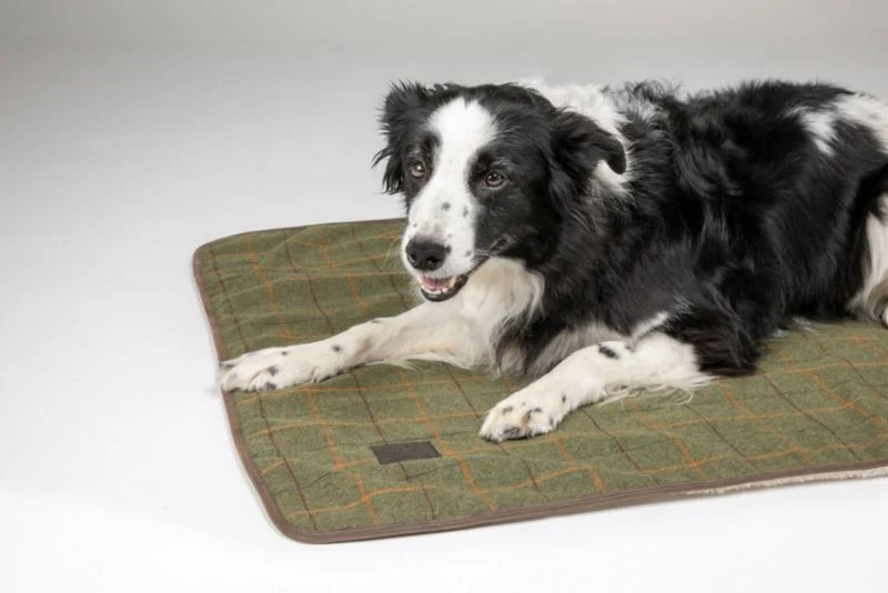 Shires Digby Fox Tweed Blanket - Image 4