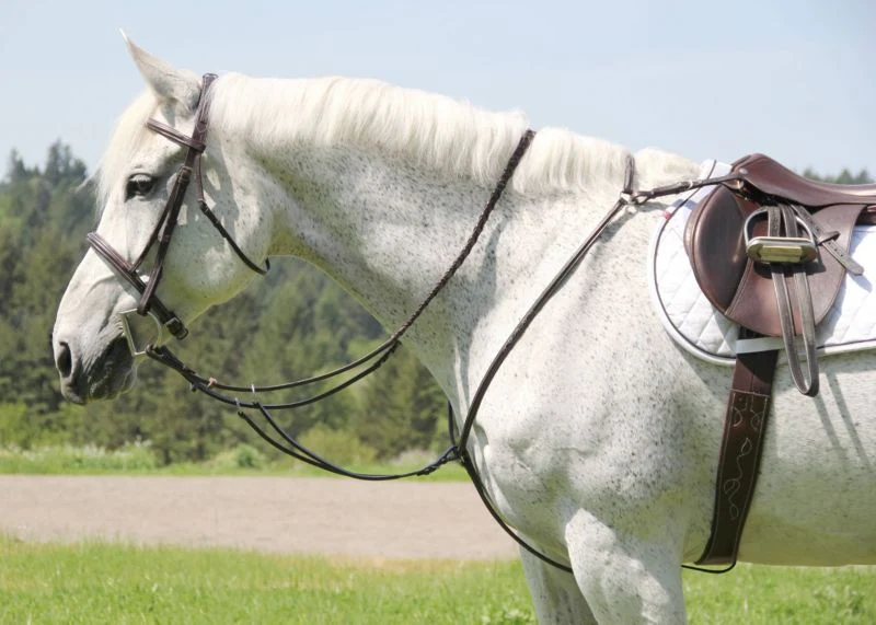 Silverleaf Sq Breastplate With Running - Image 2