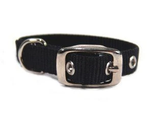 Single Thck Nyln Dlx Dg Collar 5/8 X12 Black