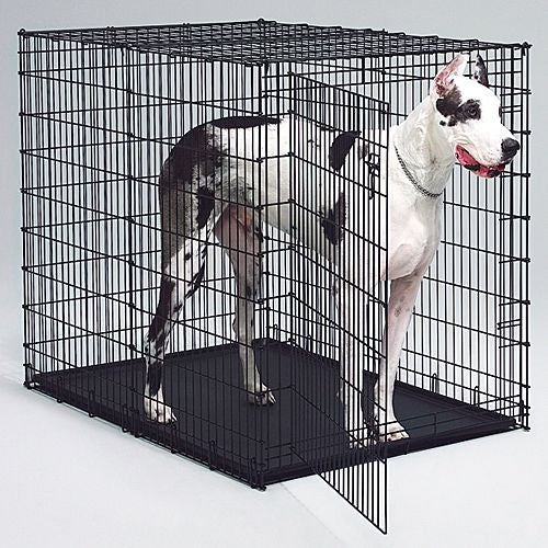 MidWest XXLarge Dog Crate - Image 4