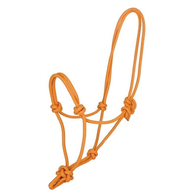 Tabelo Cowboy Rope Halter - Image 14