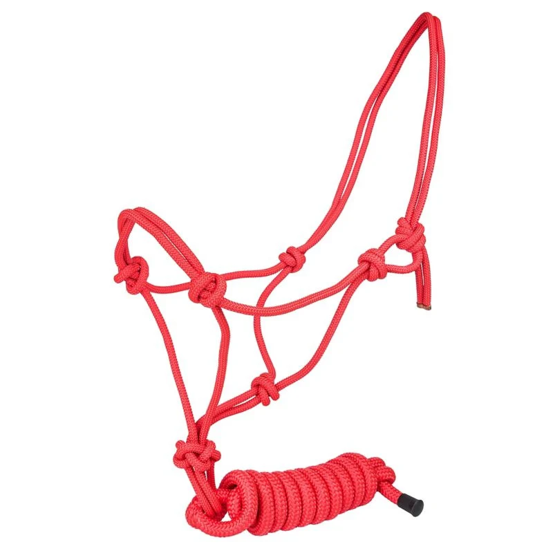 Tabelo Cowboy Rope Halter with Lead - Image 12