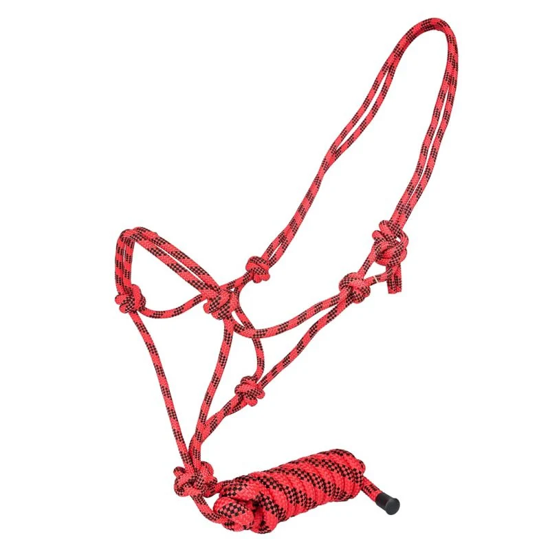 Tabelo Cowboy Rope Halter with Lead - Image 8