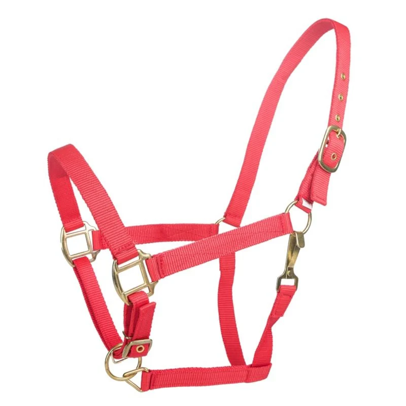 Tabelo Nylon Halter with Adj Chin - Image 16