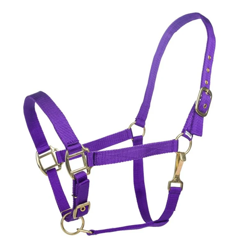 Tabelo Nylon Halter with Adj Chin - Image 7