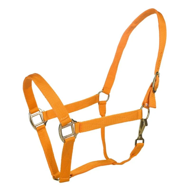 Tabelo Nylon Halter with Snap - Image 14