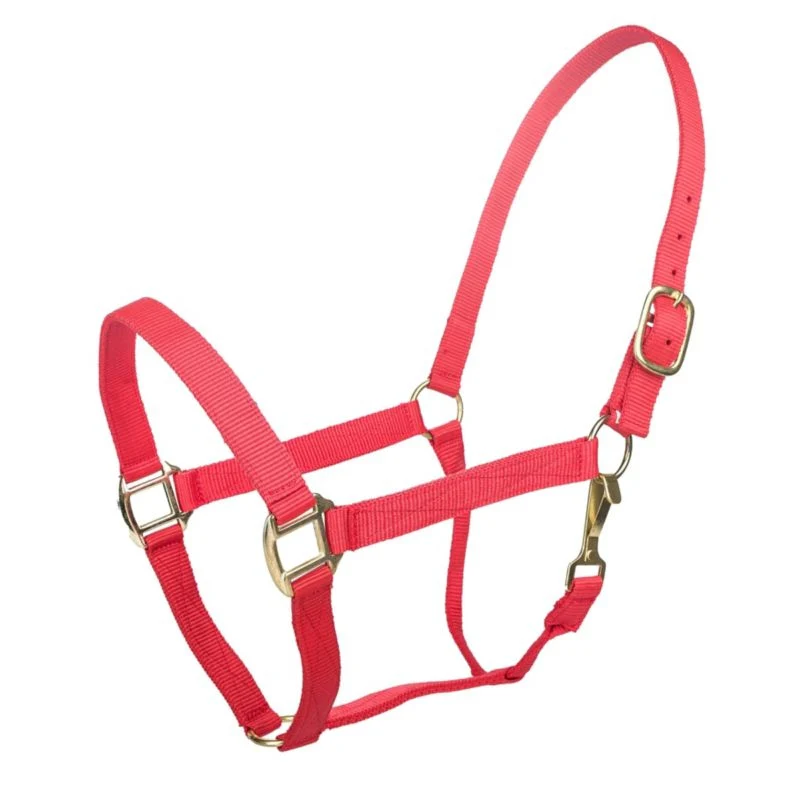 Tabelo Nylon Halter with Snap - Image 16
