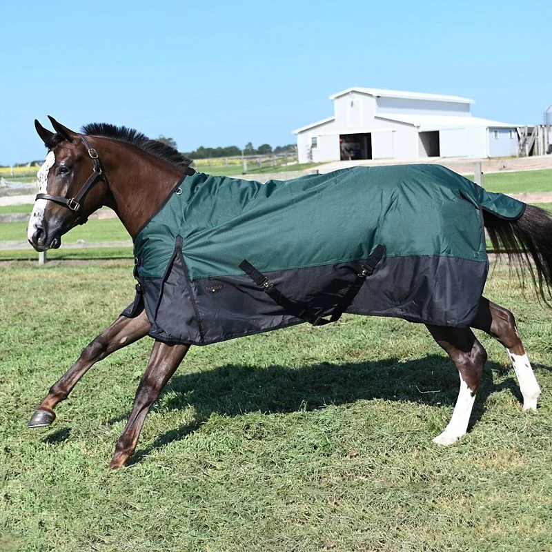 Tabelo Waterproof 1200D T/O Blanket - Image 9