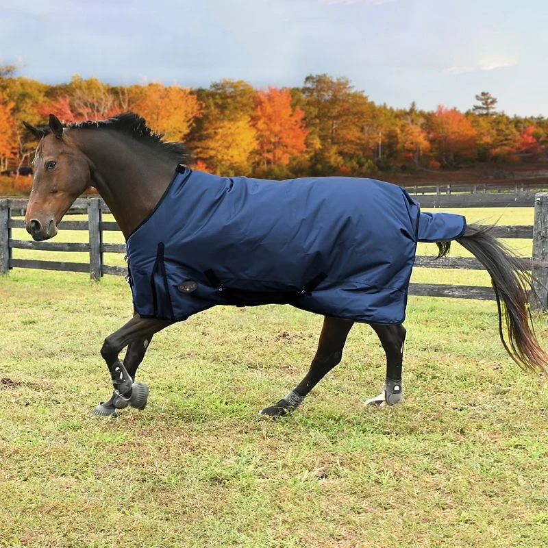 Tabelo WP 600D 250g Turnout Blanket - Image 3