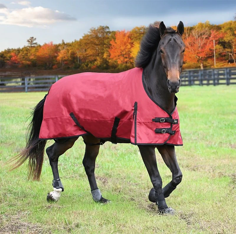 Tabelo WP 600D 250g Turnout Blanket - Image 4