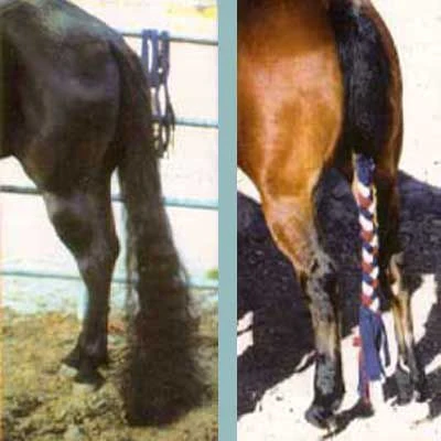 TailWrap Techquine Braid Tail Wrap - Image 14