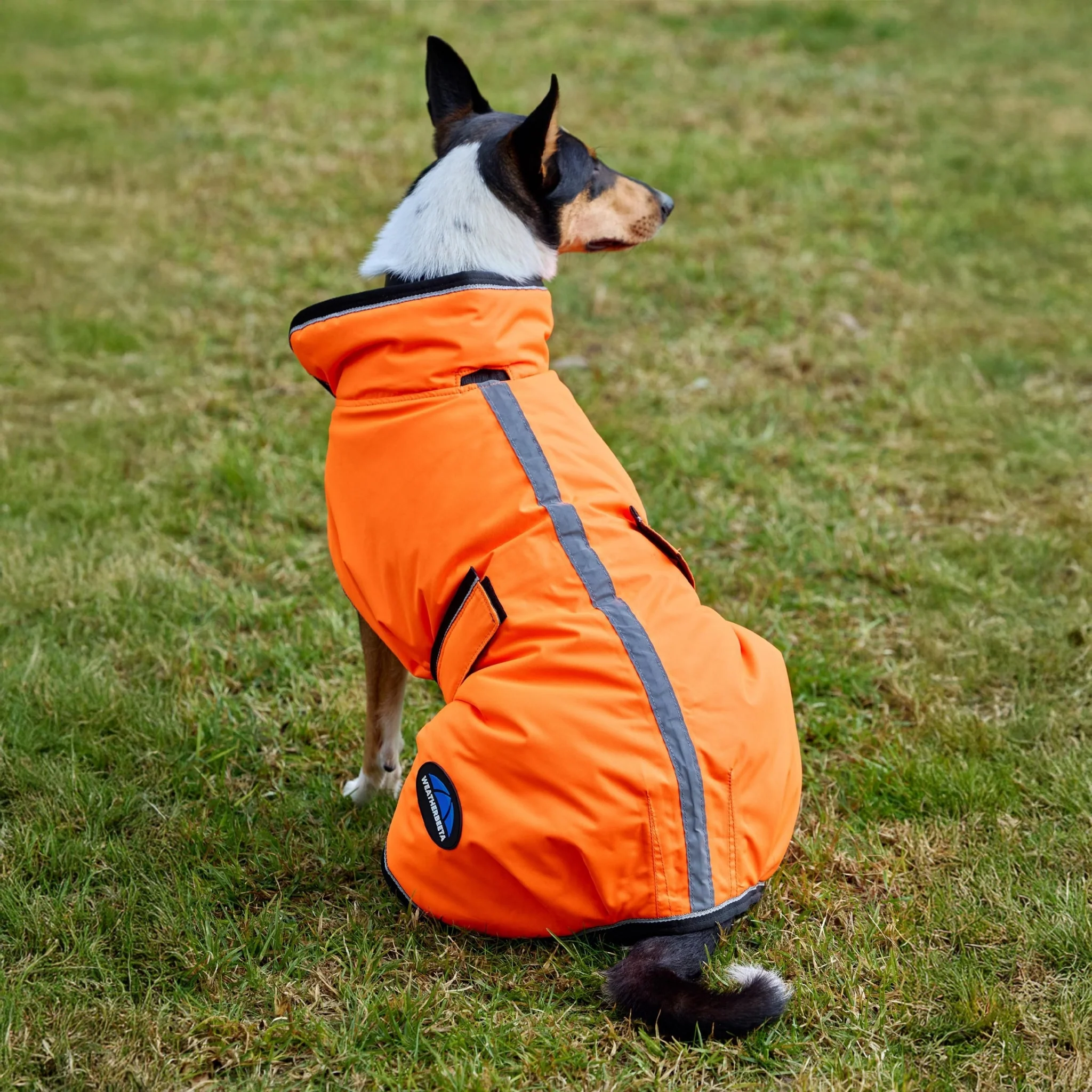 Weatherbeeta ComFiTec Reflective 300D Deluxe Showerproof Dog - Image 9