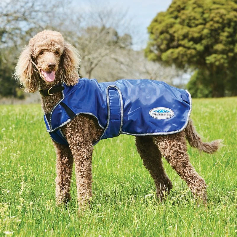 Weatherbeeta ComFiTec Windbreaker Free Deluxe Dog Coat - Image 4